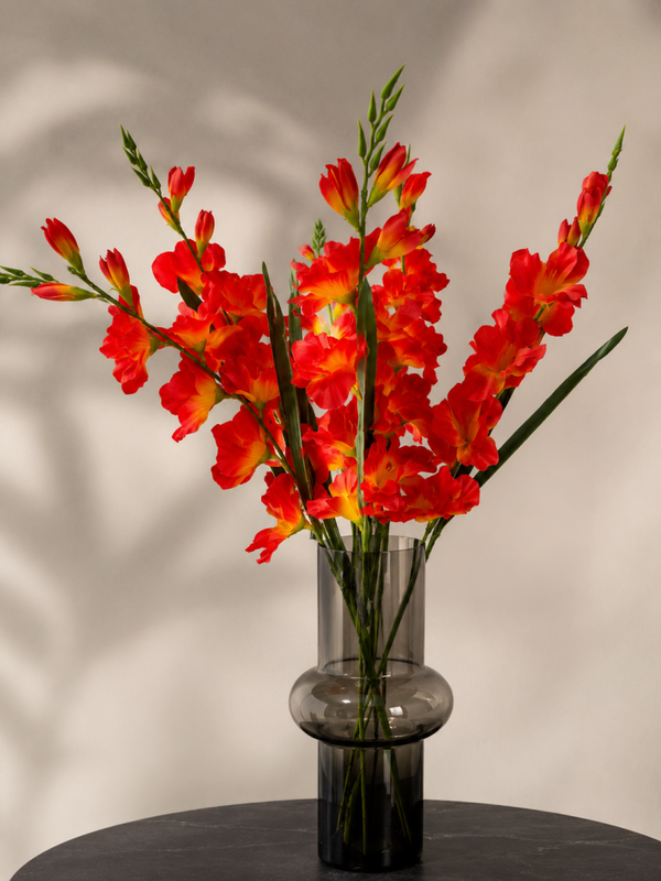Gladiool oranje