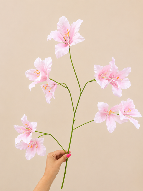 Sierlelie licht roze