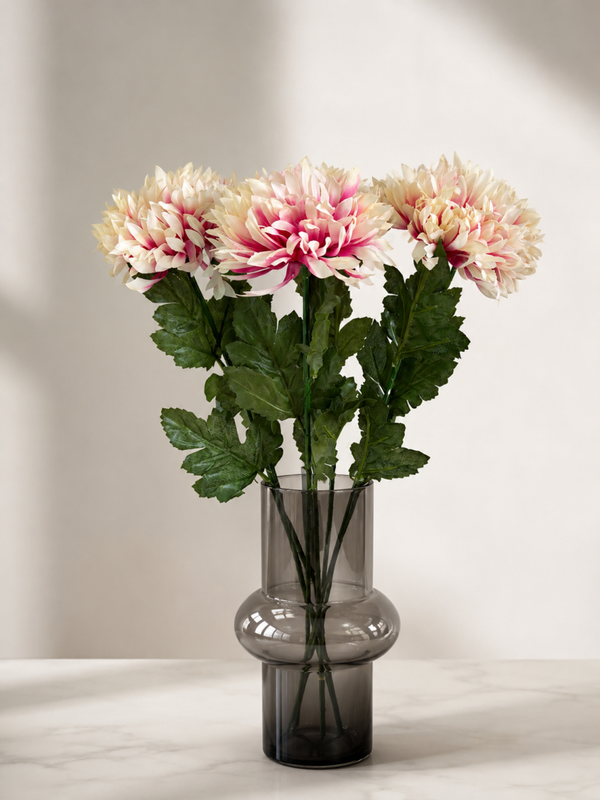 Chrysant wit/paars