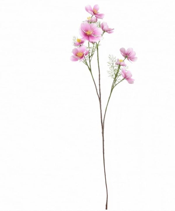 Cosmos donker roze/lila