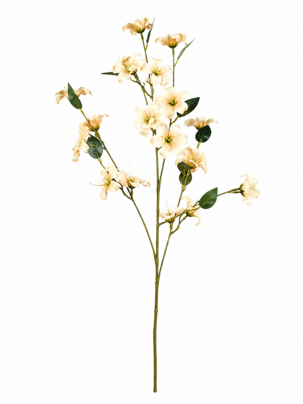 bloesem beige