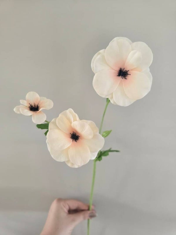 Ranunculus Butterfly beige