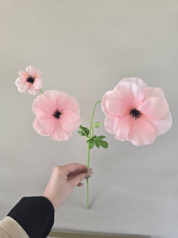 Ranunculus Butterfly roze