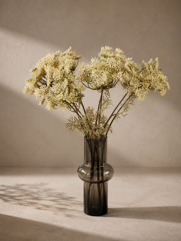 Didiscus Cream