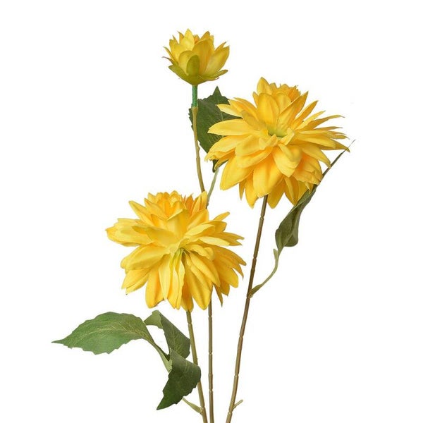 Dahlia geel