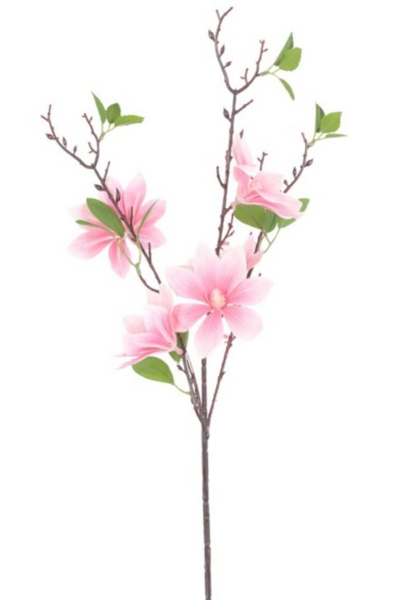 Magnolia roze
