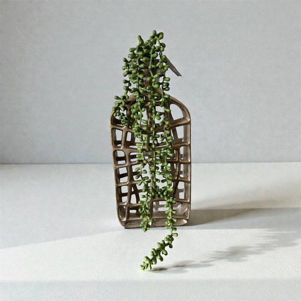 Erwtenplant groen 55cm