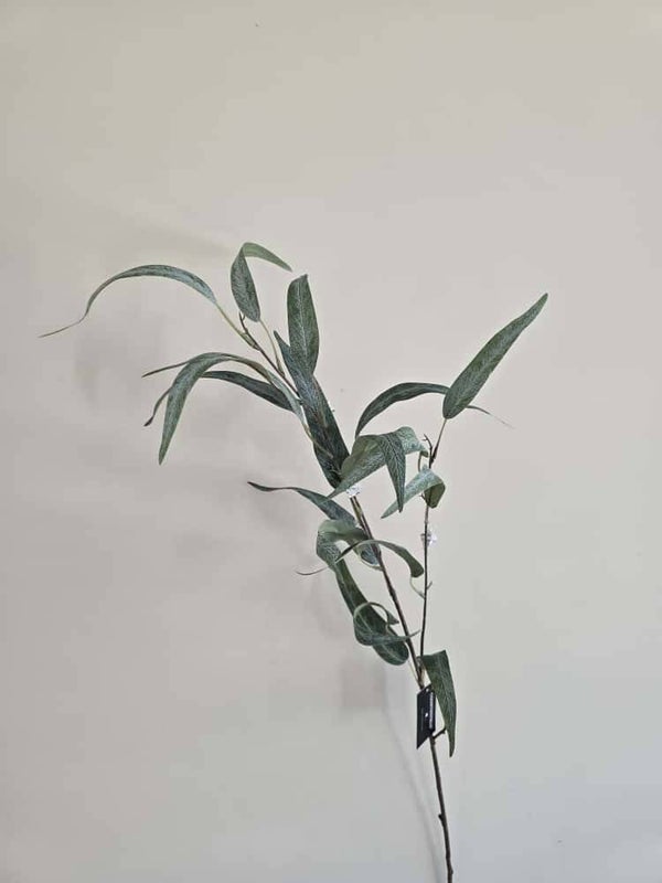 Eucalyptus smal | Countryfield