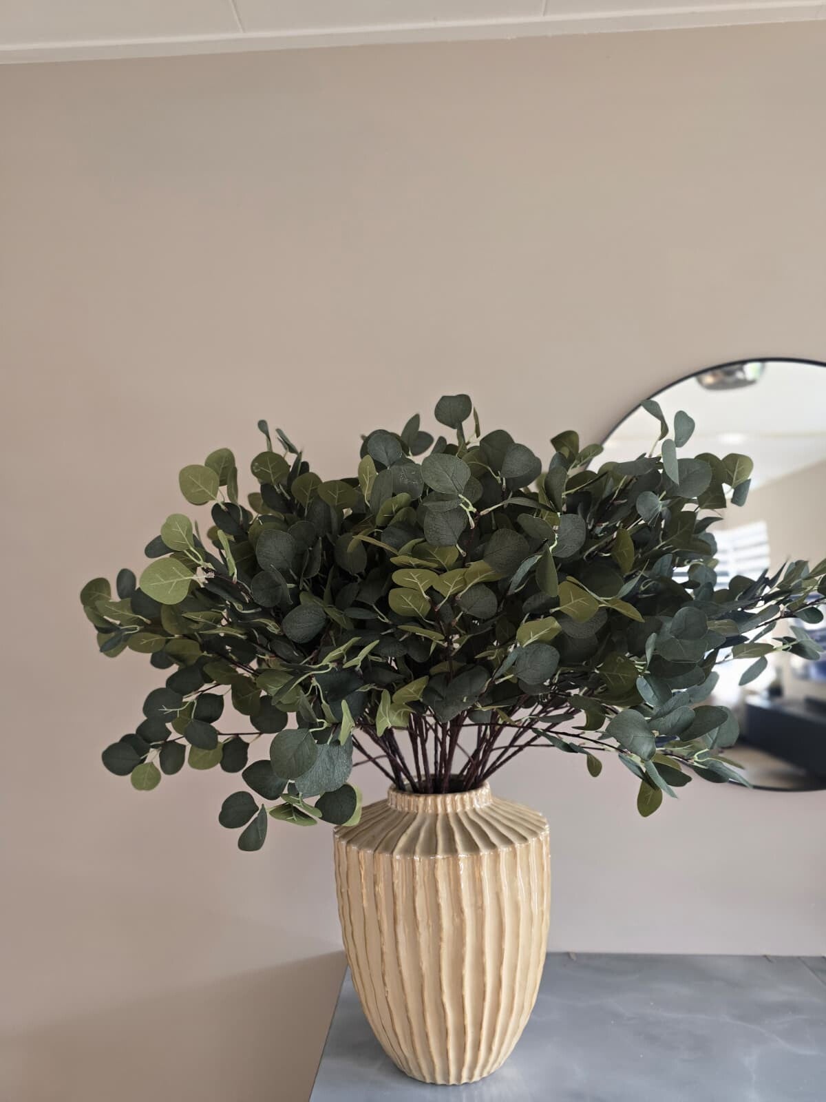 Eucalyptus tak | Countryfield