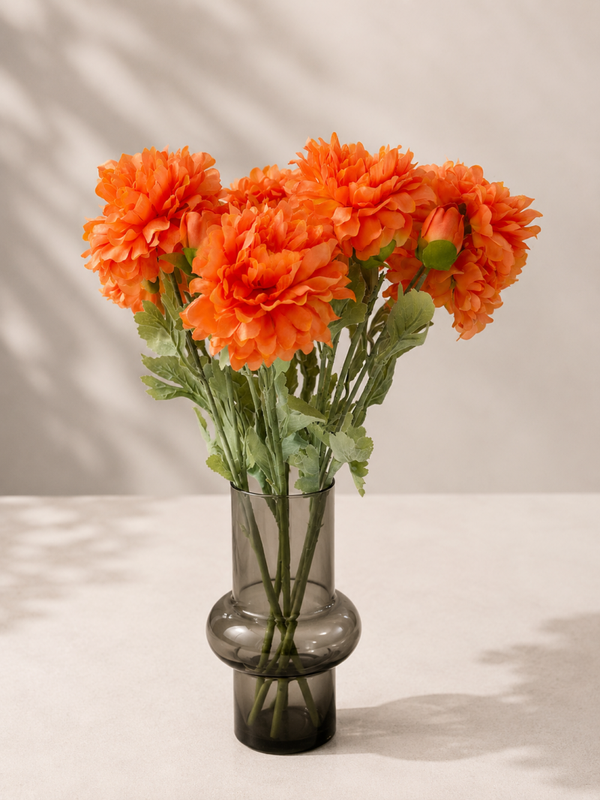 Pioen oranje