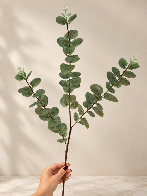 Elles eucalyptus