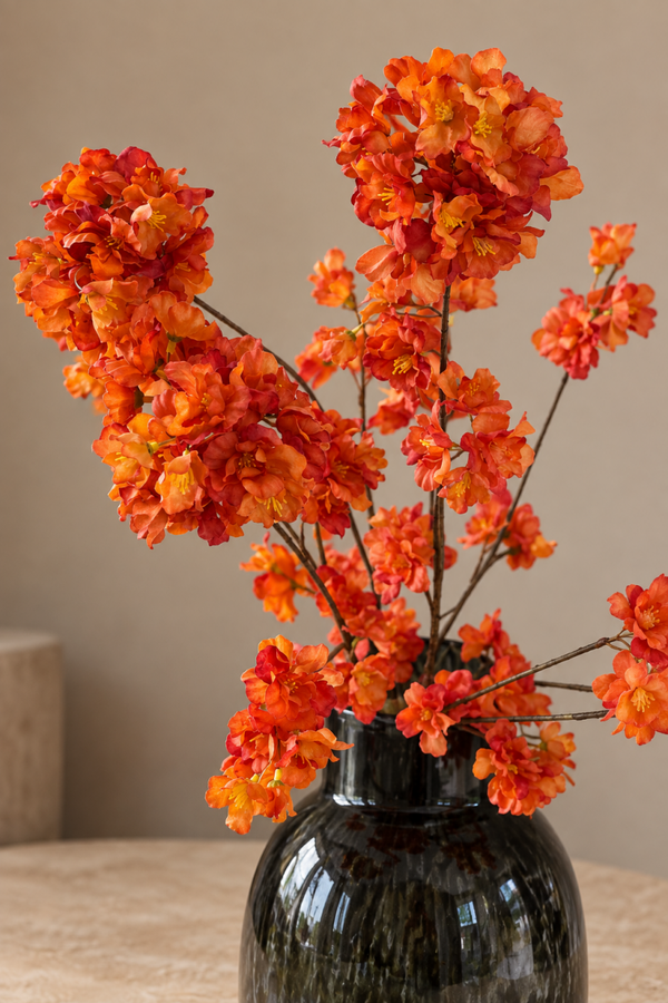 Bloesem oranje