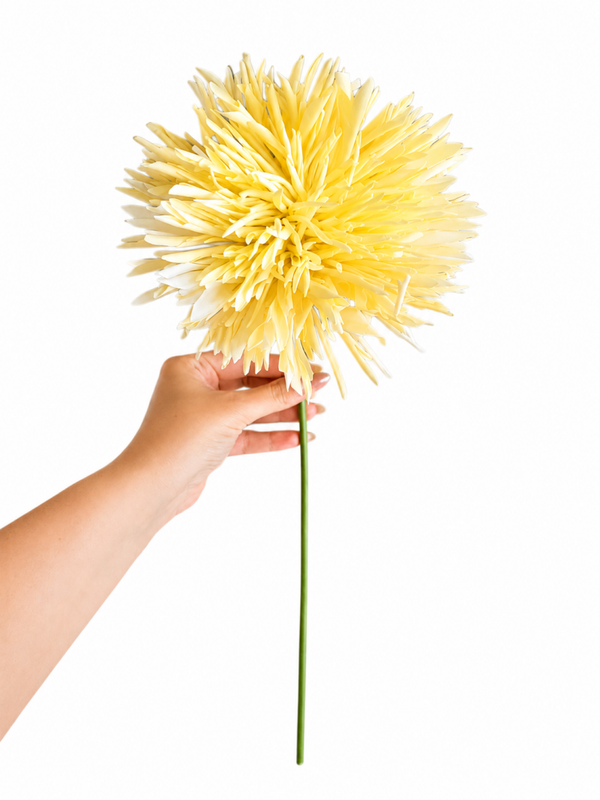 Chrysant geel