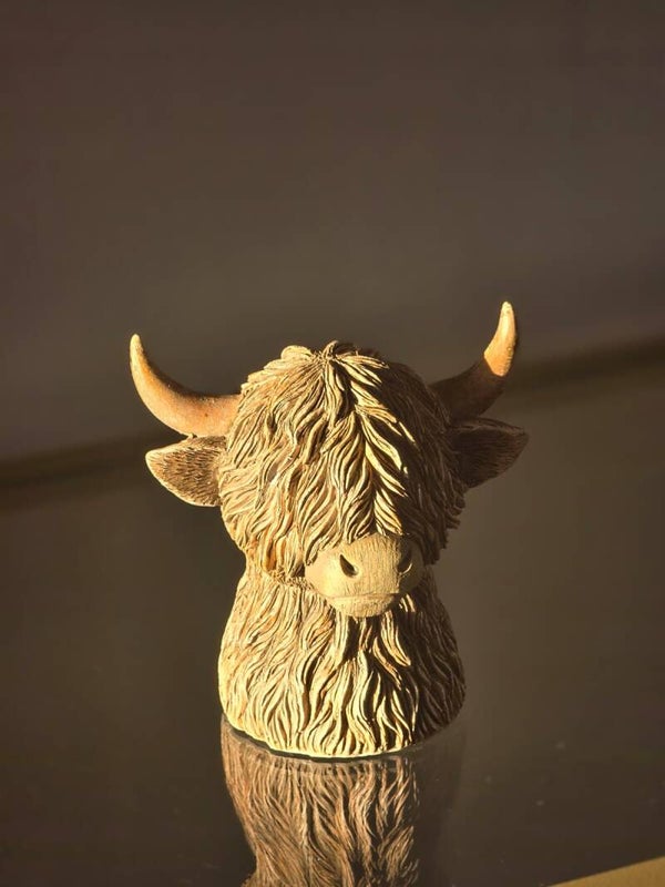 Spaarpot Schotse hooglander