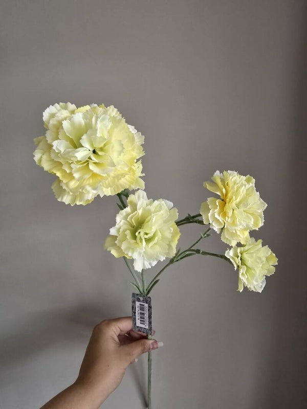 Dianthus geel