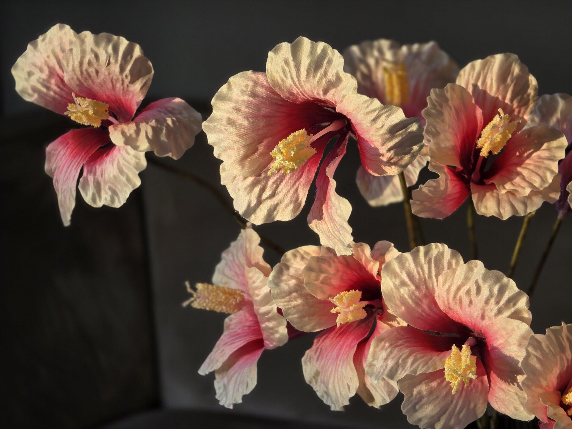 Silk hibiscus champagne