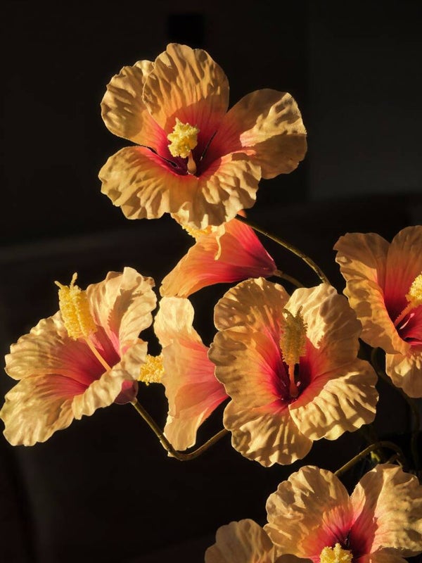 Silk hibiscus peach
