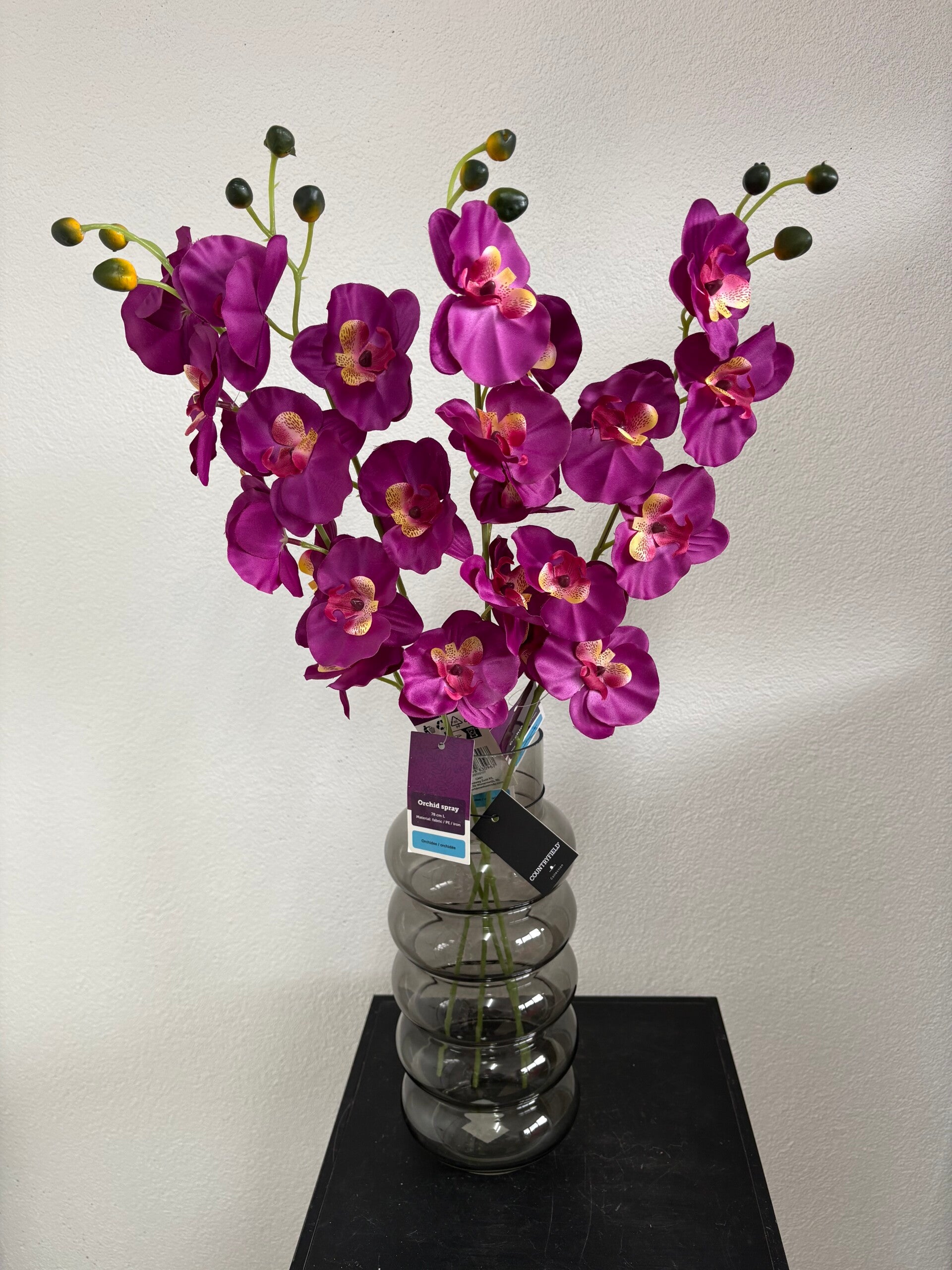 Orchidee donker roze