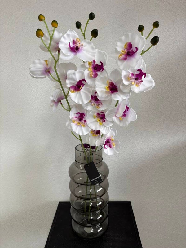 Orchidee wit/roze