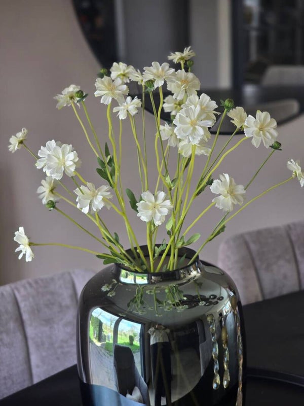 Korenbloem creme