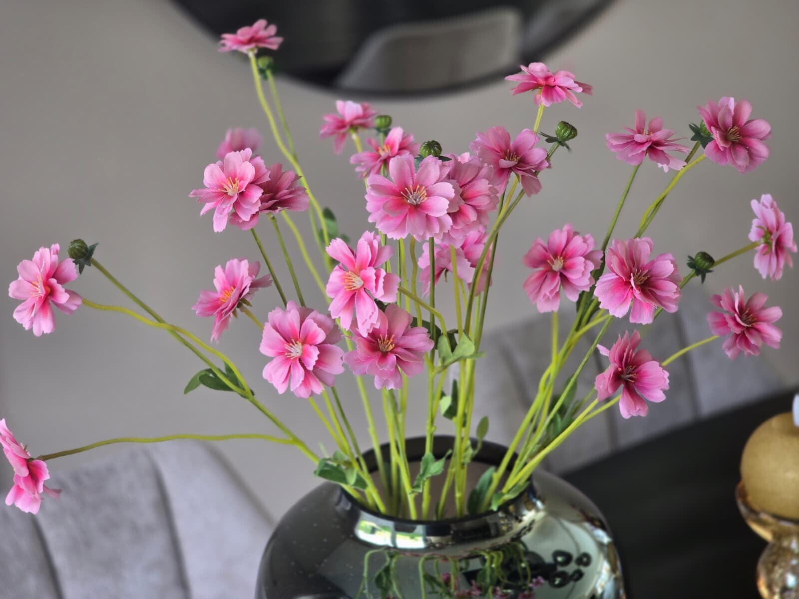 Korenbloem roze