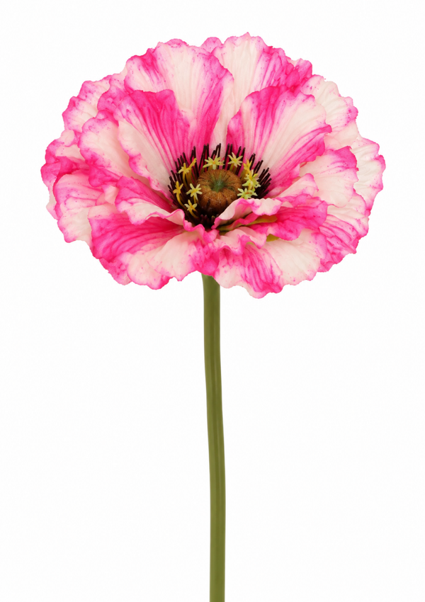 Silk poppy pink/white
