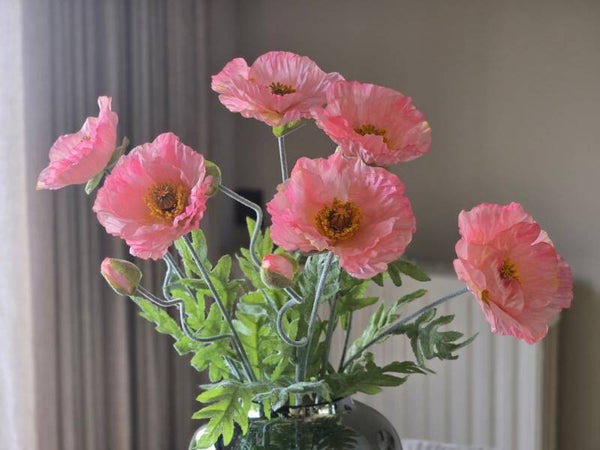 Papaver roze