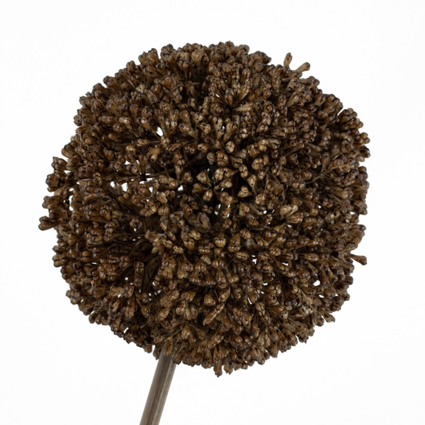 Kunsttak Bol – 66 cm | Bruin