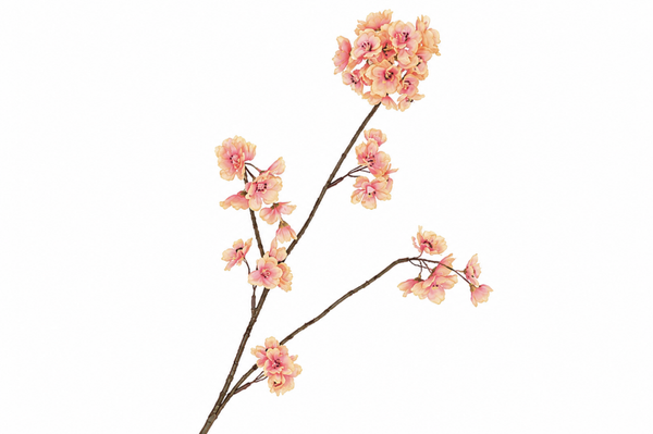 Silk cherry bloesem peach
