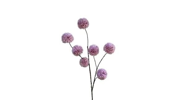 Pompom licht paars, grote bollen