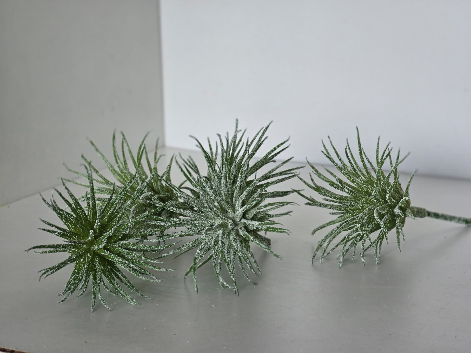 Kunstplant Tillandsia groen 7.5 cm set van 5