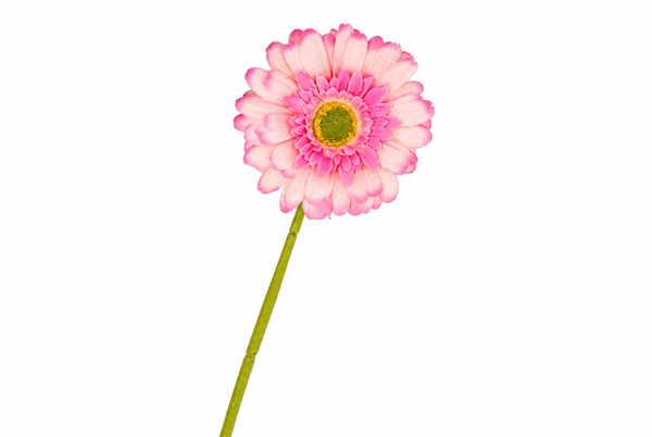 Silk gerbera light pink