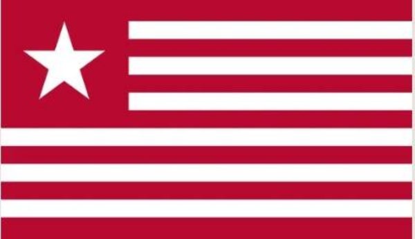 James Long 2nd Texas 1821 3'X5' Flag Rough Tex® 68D Nylon