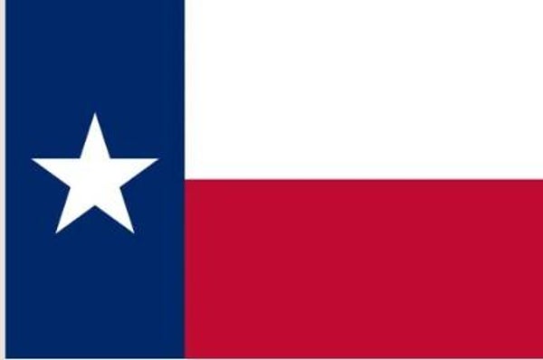 TEXAS 150D ROUGHTEX NYLON 3'X5' PRINTED FLAG