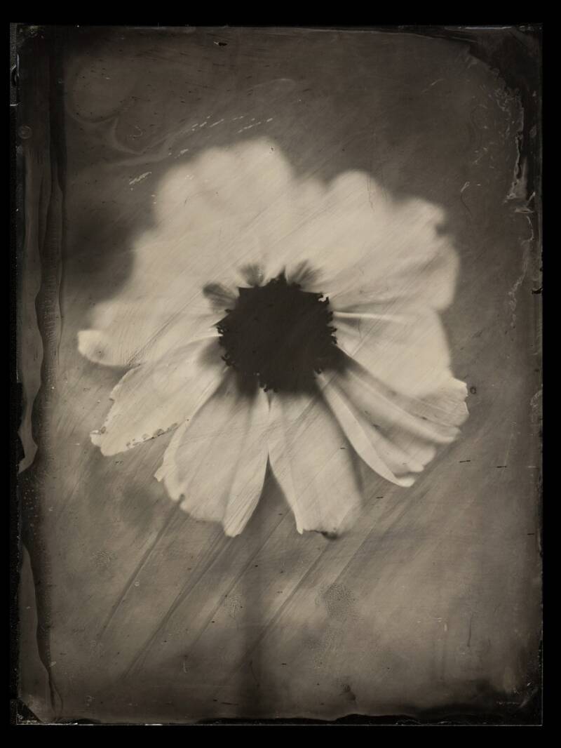 jakubowski-wetplate-collodion-ambrotype-stilllife-16.jpg