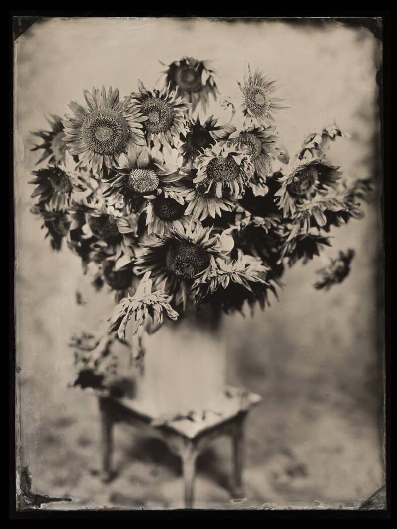 jakubowski-wetplate-collodion-ambrotype-stilllife-17-1.jpg