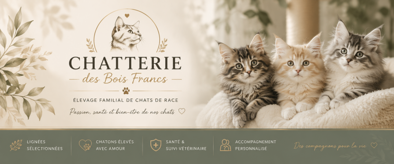 chatgpt-image-14-mai-2026-22_25_31-standard.png