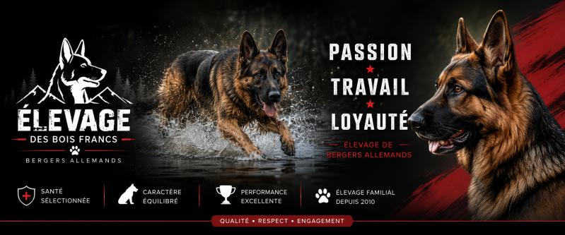 chatgpt-image-14-mai-2026-22_44_29-standard.png