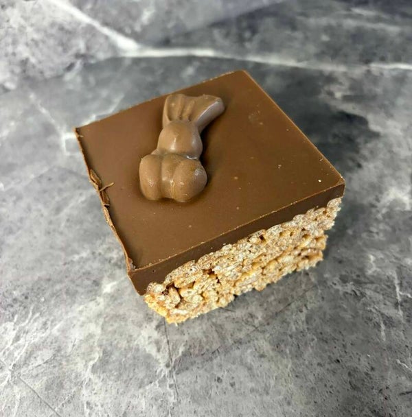 Mars Base Crispy Treats