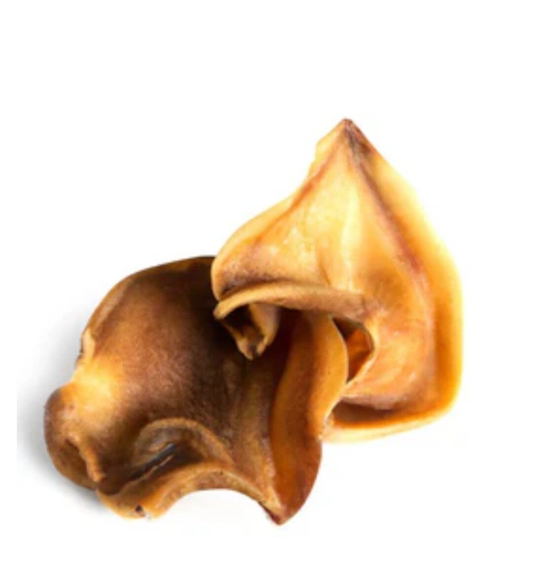 varkensoren XXL