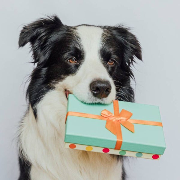 Dierendag verwenbox!  (Tijdelijk)