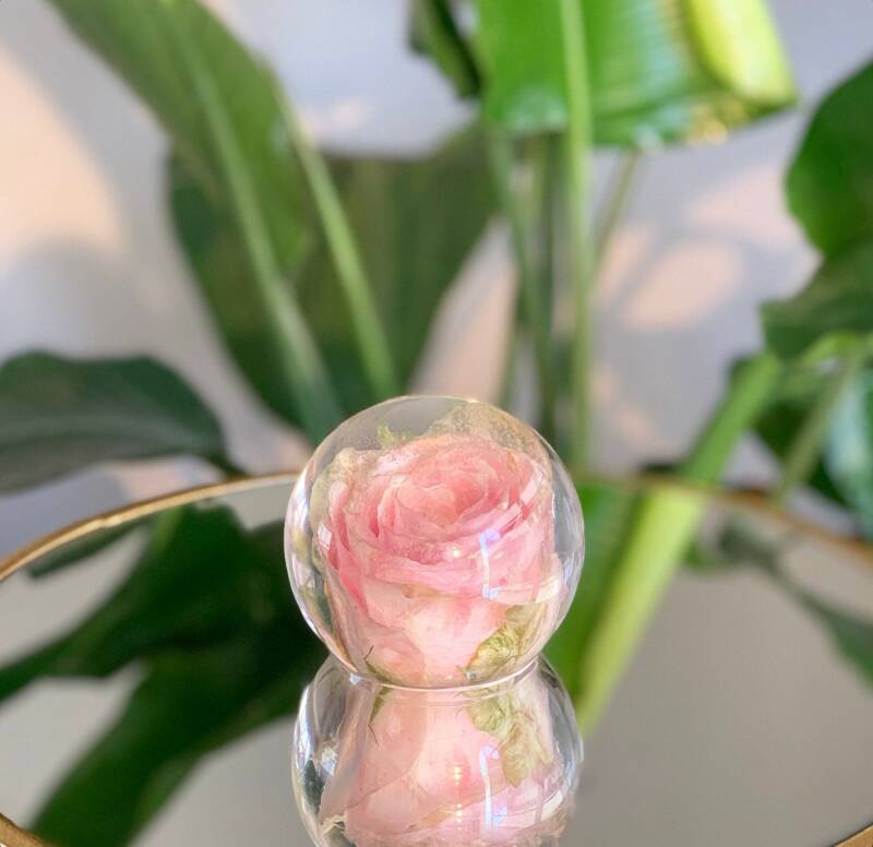 bloempreparatie nederland