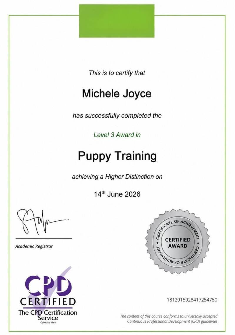 Official accredited qualification covering puppy development, socialisation, bite inhibition, toilet training, confidence building, and correct early learning methods. This expert knowledge ensures we give your puppy the very best start in life. 
