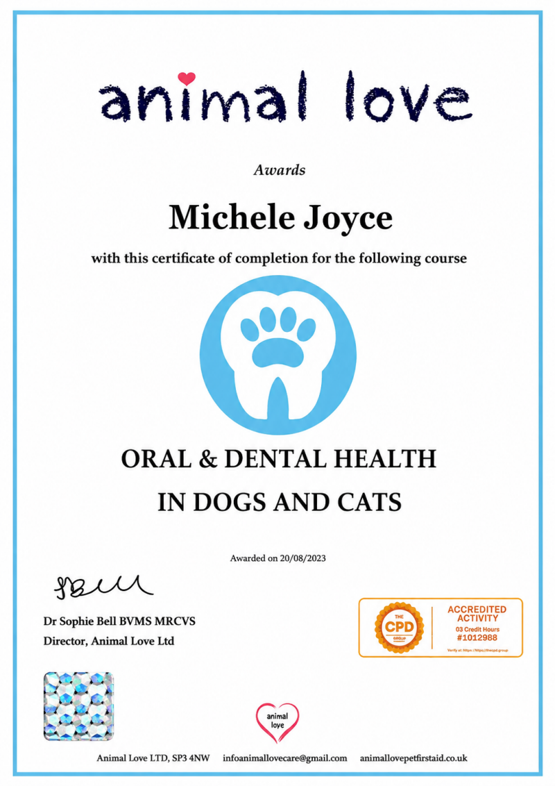 Oral &amp; Dental Health in Dogs &amp; Cats Animal Love Award • Completed: 2023 Preventative dental care, hygiene routines, recognising dental disease, home care and maintaining healthy teeth and gums.