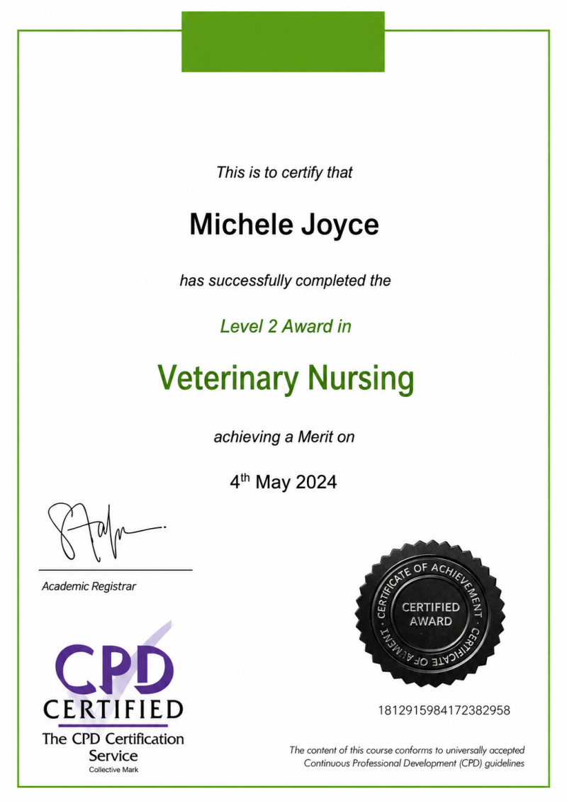 Veterinary Nursing – Level 2 Completed: 2024 Foundational knowledge of animal health, anatomy, physiology, common conditions, medication administration and basic nursing care.