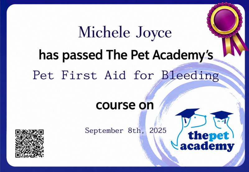  Pet First Aid for Bleeding — The Pet Academy | 2023 Specialist training in emergency injury response and care.