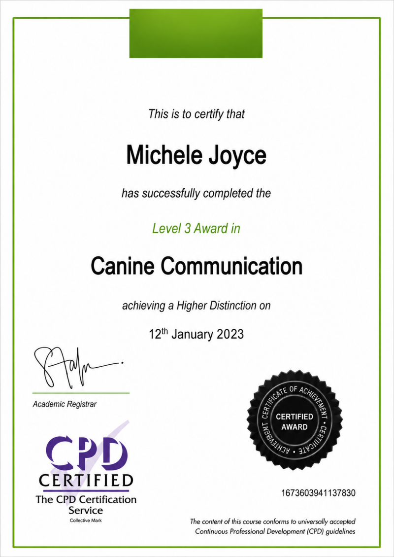 Canine Communication | 2023 Reading body language, understanding signals, preventing conflict, and building trust with every dog.