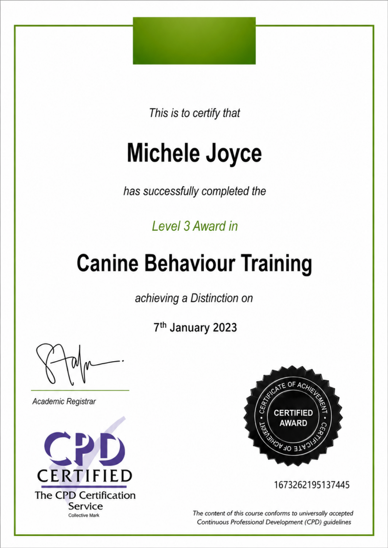 Canine Behaviour Training | 2023 Understanding dog psychology, solving behavioural issues, building confidence, and positive reinforcement techniques.