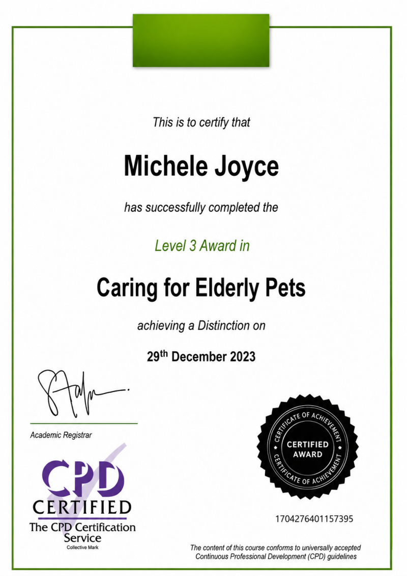 Caring for Elderly Pets Completed: December 2023 Specialist training in senior dog care: mobility support, joint health, comfort, dietary needs, cognitive changes and managing age‑related conditions.