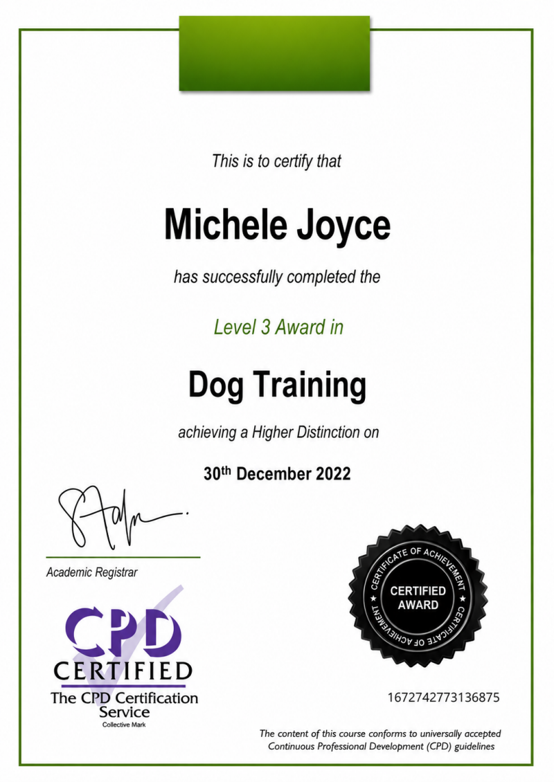 Dog Training | 2022 Professional training methods, socialisation skills, and developing good manners.